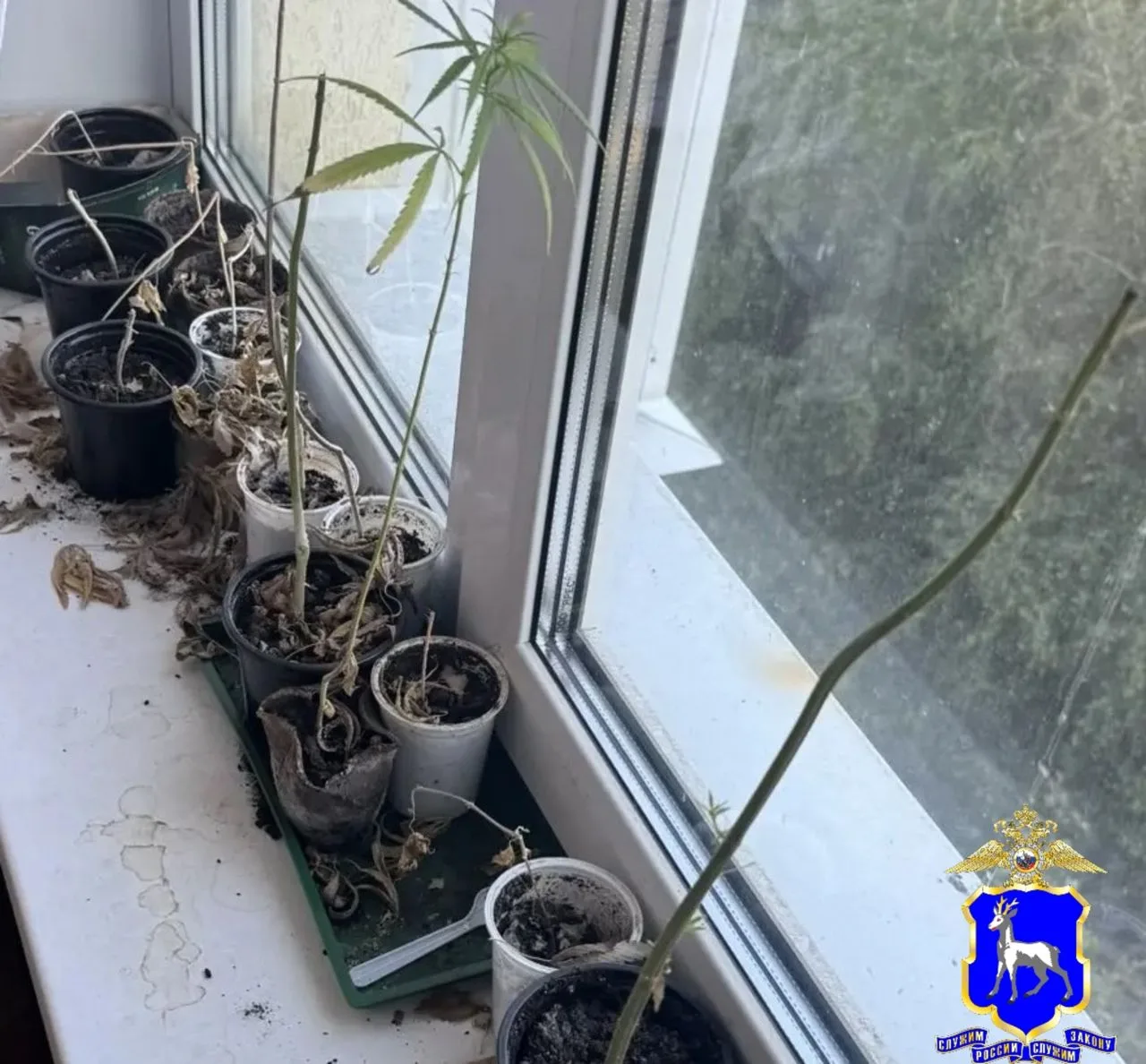 В Самаре в суд направлено уголовное дело, возбужденное в отношении местного жителя, задержанного за незаконный оборот наркотиков
