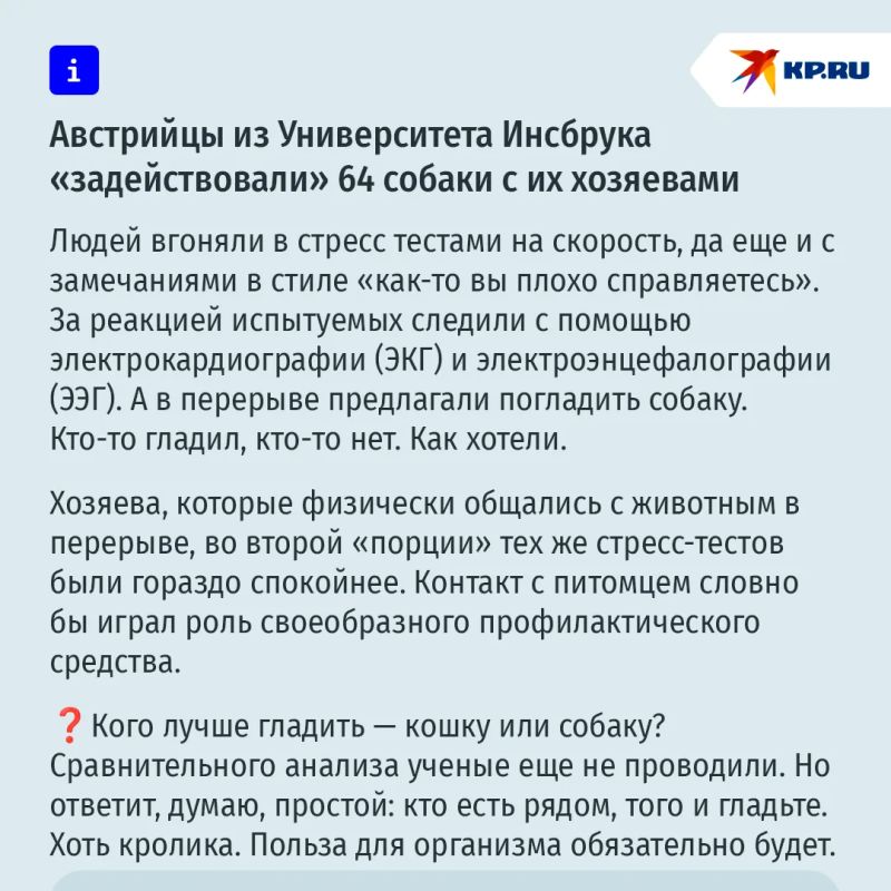 Гладьте кошек и собак - будете спокойны: тактильный контакт с домашними животными снимает стресс Гладьте кошек и собак - будете спокойны: тактильный контакт с домашними животными снимает стресс