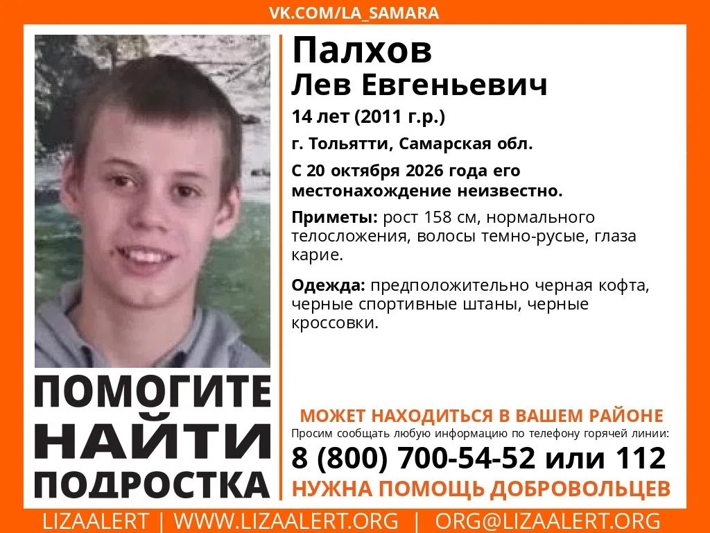 В Тольятти ищут подростка!