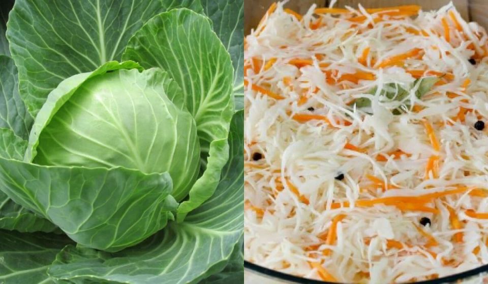 Как справиться с горечью в квашеной капусте: секреты и советы