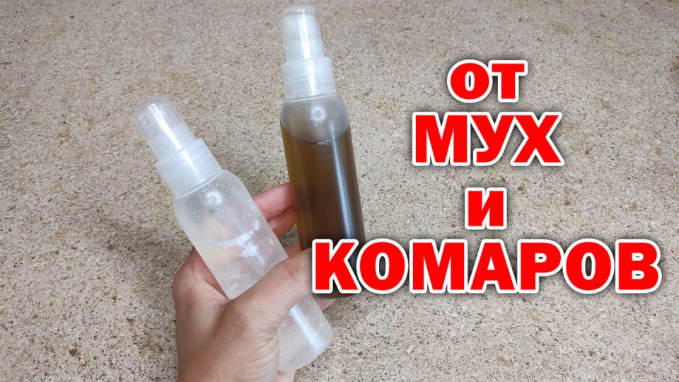 Эффективные методы борьбы с комарами, мухами и мошками: натуральные рецепты