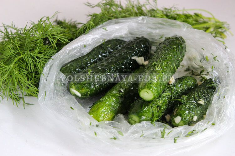 Огурцы за 5 минут: кулинарный хит для любителей быстрой закуски