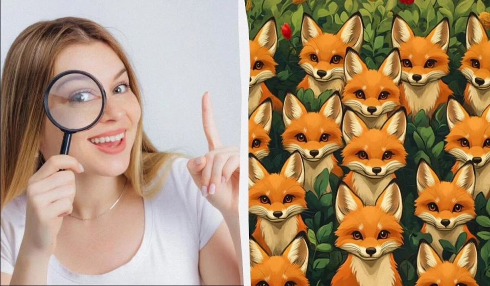 Найдите петуха среди лисиц: Проверьте свою внимательность за 5 секунд