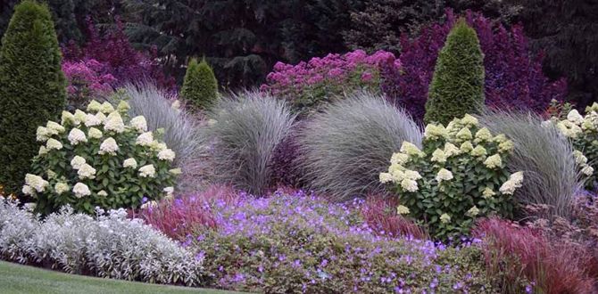 Создание многосезонного сада: растения, которые поддержат красоту на протяжении всего года