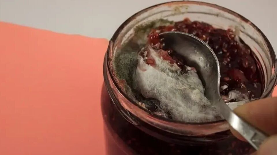 Как предотвратить порчу варенья и что делать с испорченным продуктом