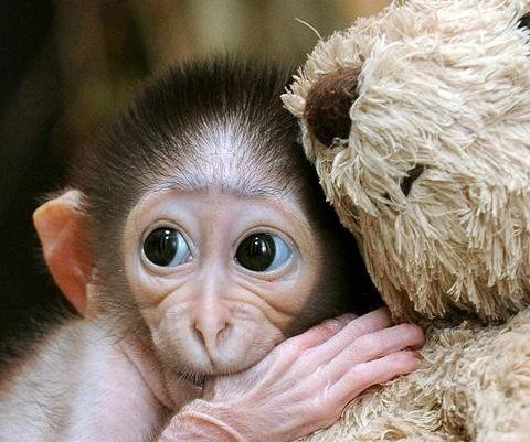 Как начать новую жизнь после развода: советы для женщин