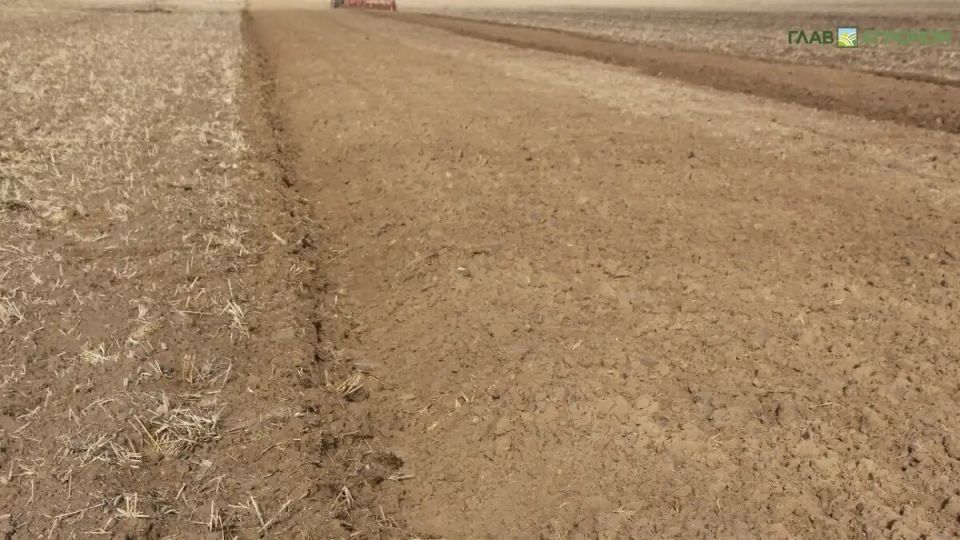 Новая методика определения оптимального внесения удобрений: шаг к устойчивому сельскому хозяйству