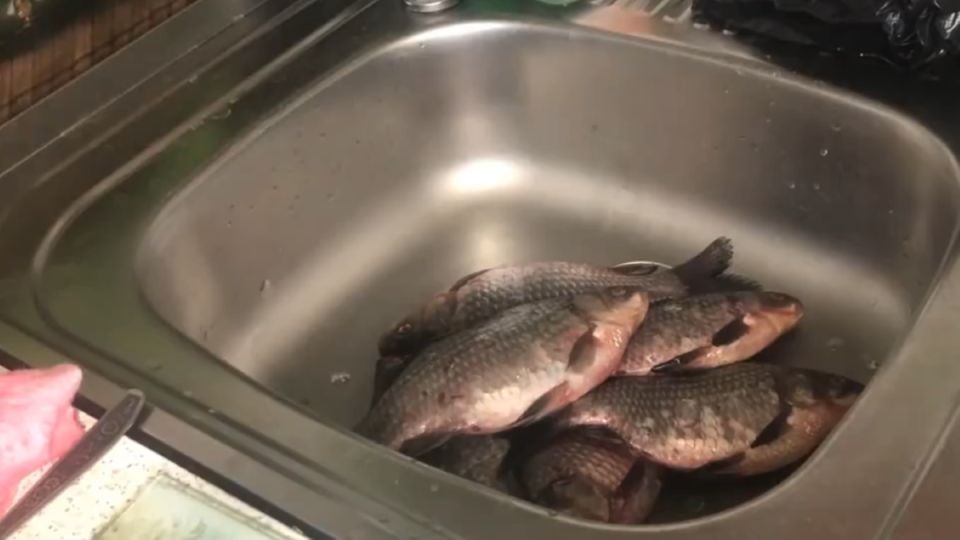 Как легко и быстро очистить рыбу: простые советы и хитрости