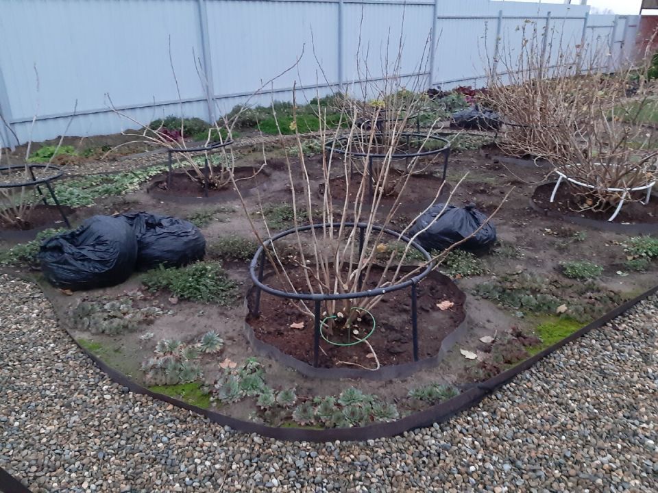 Погодные аномалии 2025 года: осень, как весна