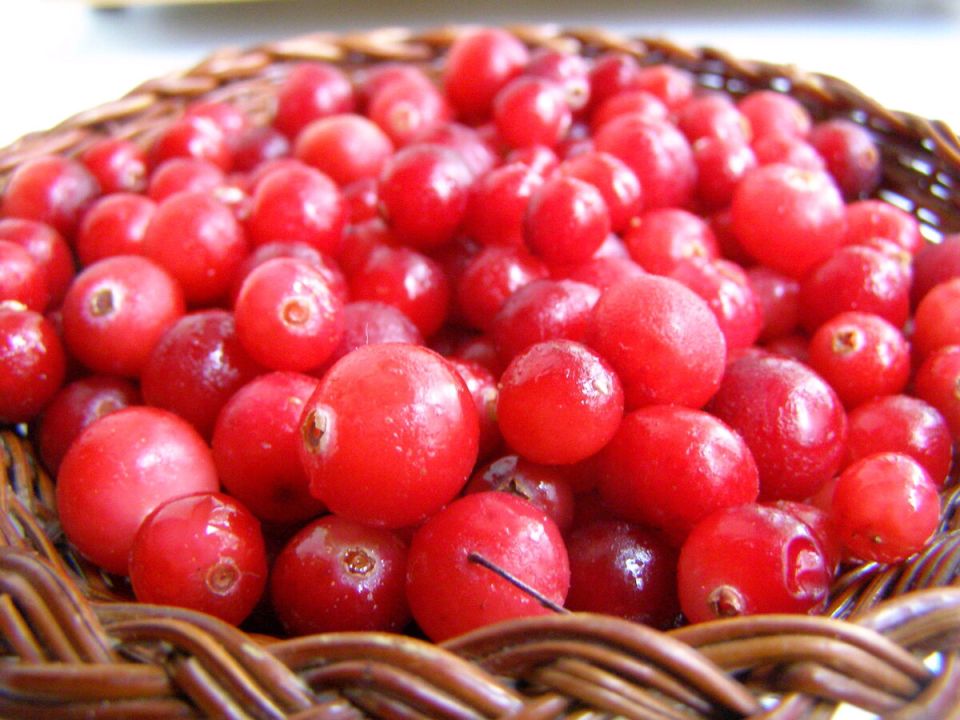 Согревающее ягодное лакомство: как быстро приготовить морс за 5 минут