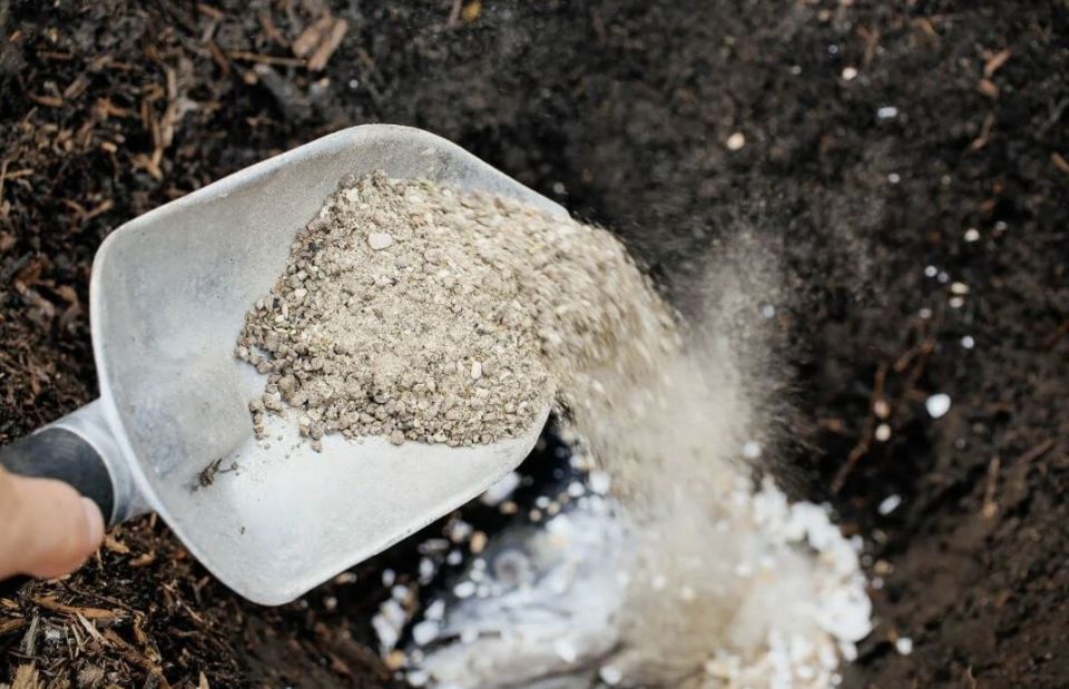 Зола как секрет весеннего удара: как правильно использовать осеннее удобрение