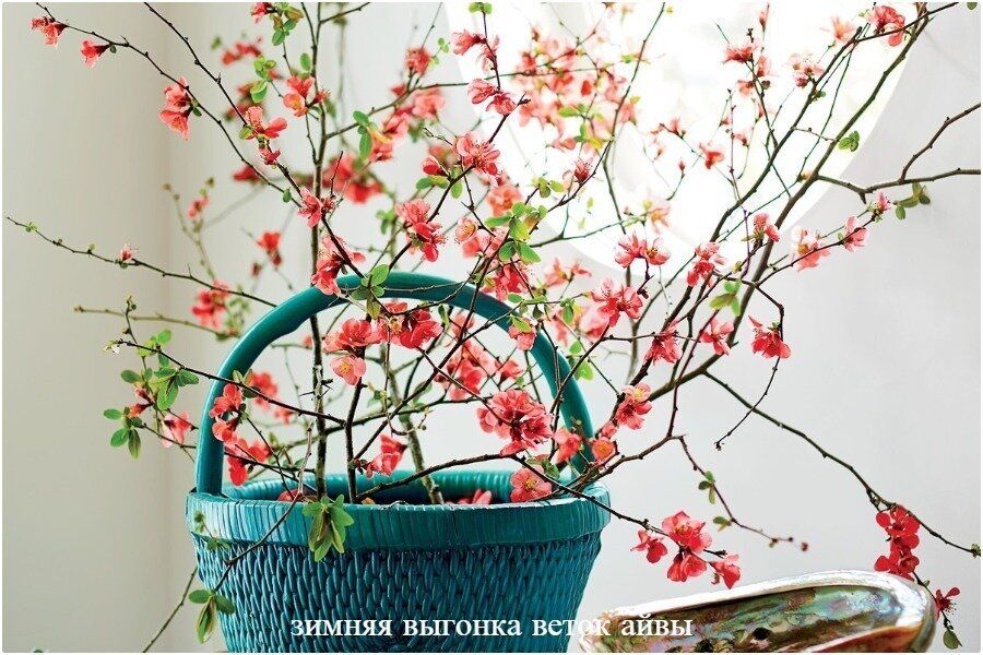 Искусство создания цветочных композиций: как вырастить весеннее вдохновение