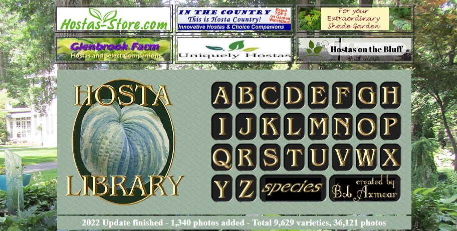 Как выбрать идеальную желтую хосту: советы и лучшие сорта для вашего сада