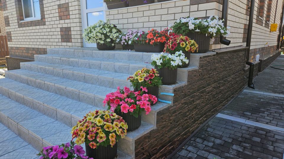 Петунии и калибрахоа: извечное противостояние цветоводов