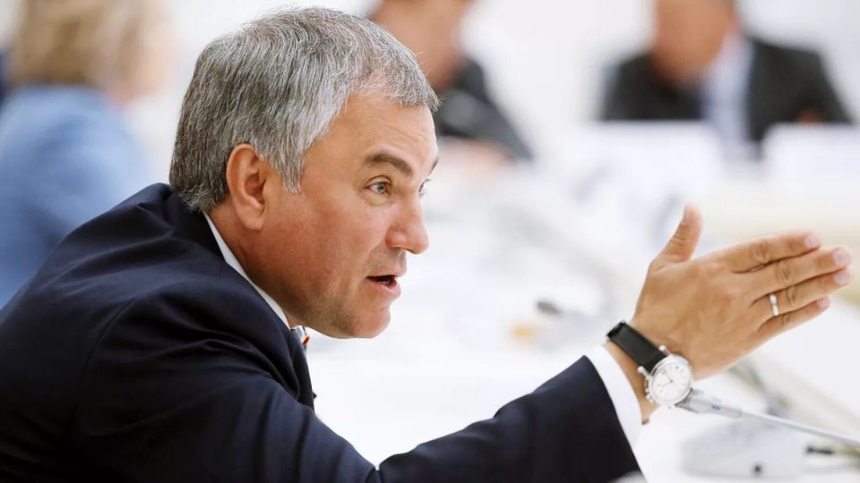 Володин против пенсионных выплат для предателей: кто еще может потерять льготы?