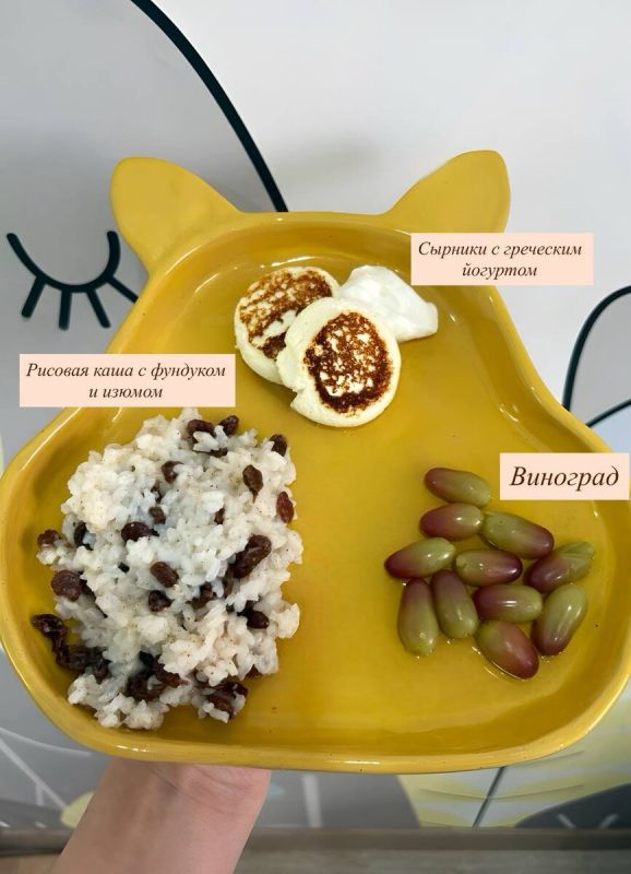 Завтрак с характером: сырники, которые покорят любой стол