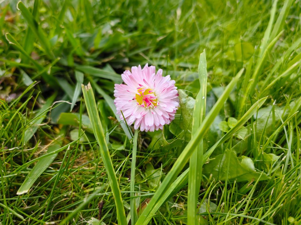 Три железобетонные причины отказаться от дачи навсегда