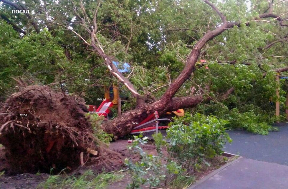 Соседство с природой: укоренившиеся суеверия и современная реальность