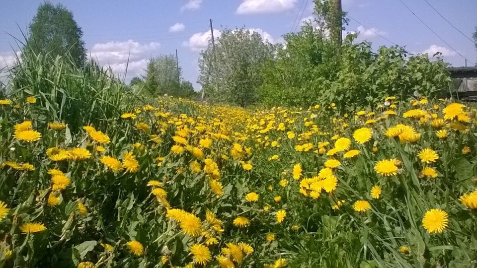 Сказочное лето в прошлом: как осень пробуждает ностальгию