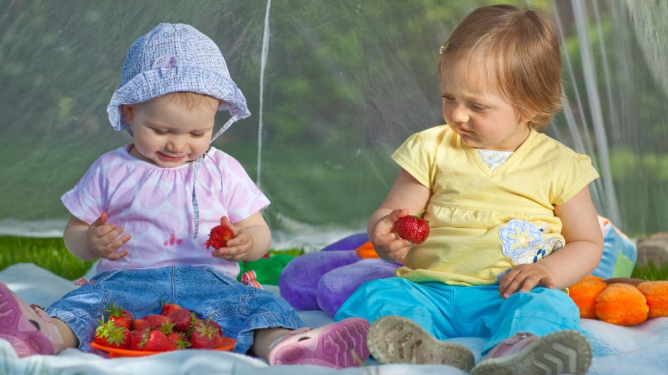 Пятно от ягод выведете с любой одежды за пару минут: только не берите мыло