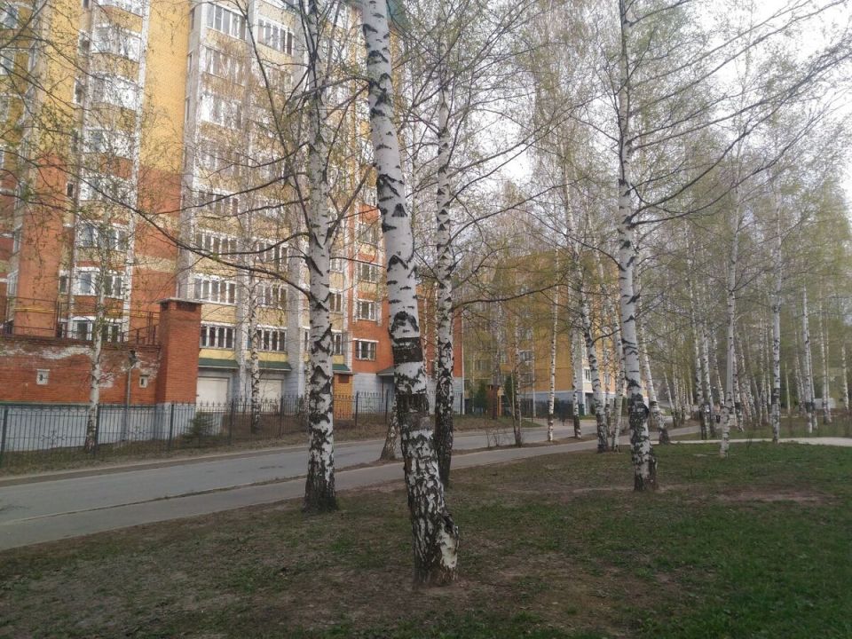 Ремонт в квартире: когда не стоит трогать стены, чтобы избежать проблем