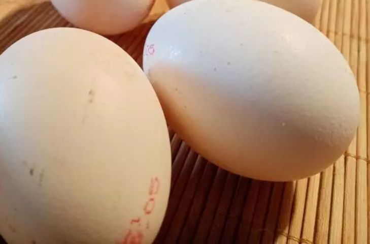 Стоит ли есть яйца каждый день: это хорошо или плохо