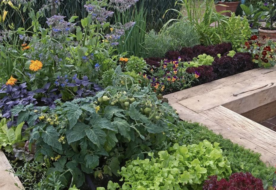 Спасение от засухи: как вода после стирки может помочь вашему саду