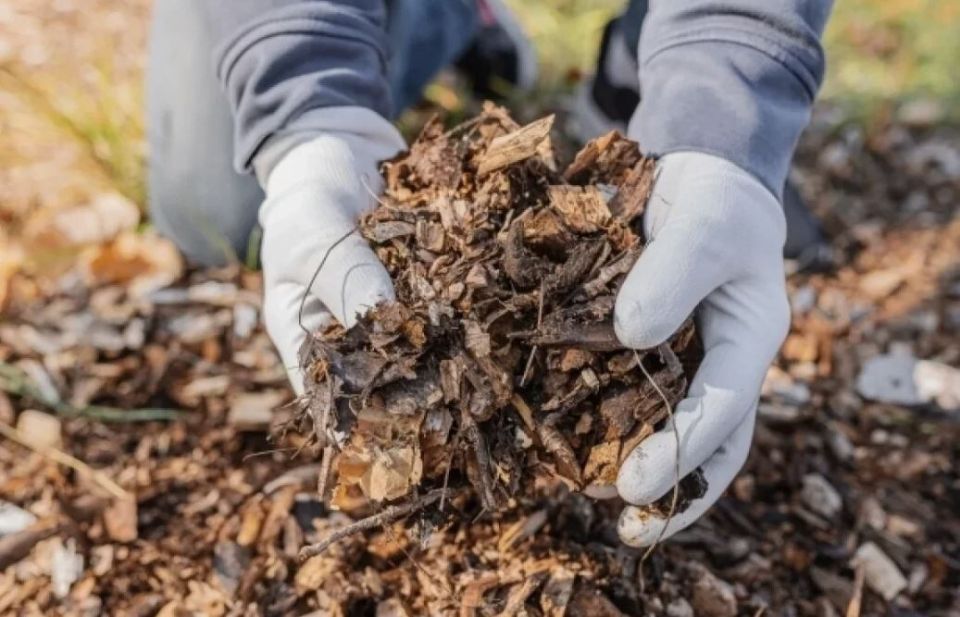 ������ ������ ��������: ������� ���������� ��� ��������� ������ ������