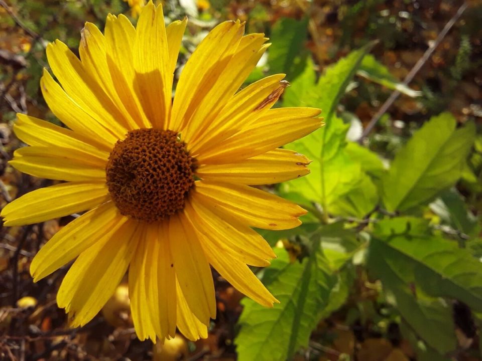 ������ � ����� ��������� ������ ���: ��������� ����������