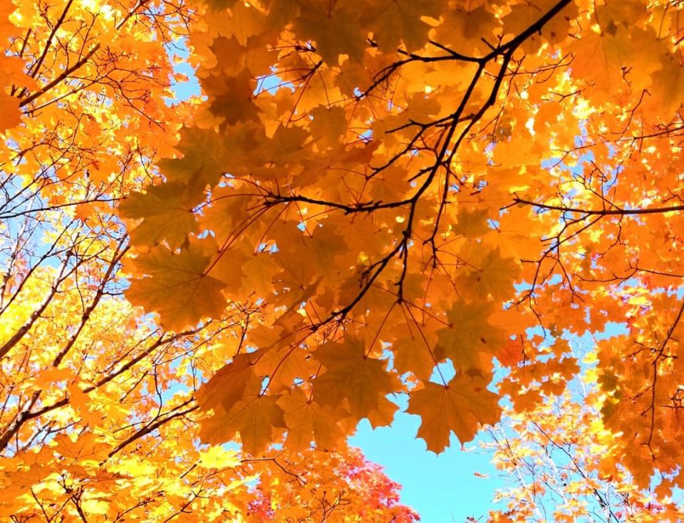 Как первый учебный день может стать незабываемым: воспоминания о стрессе и радости