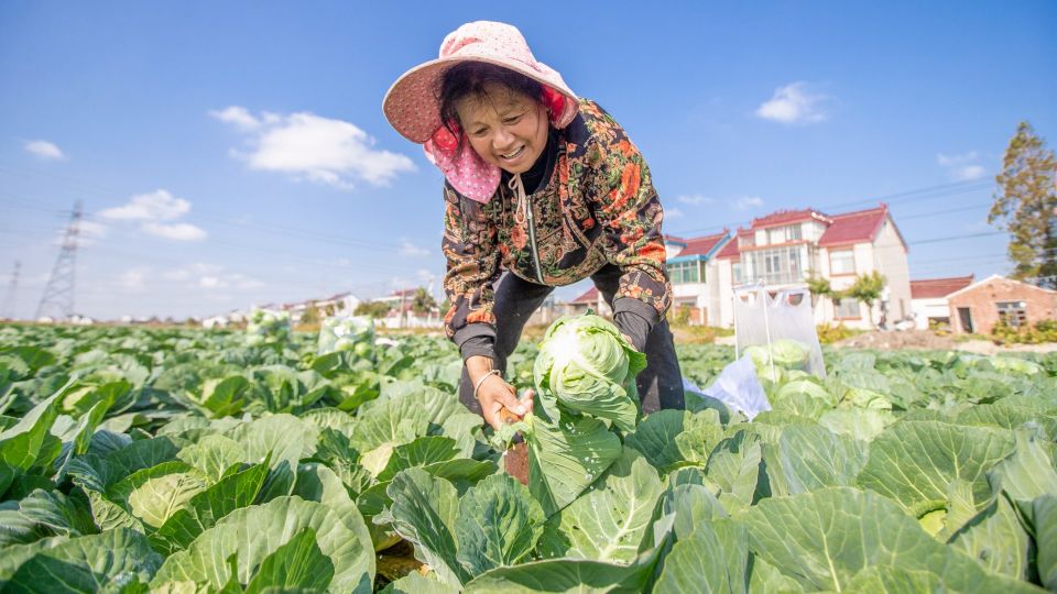 �� ���� ������ �� ������: ��� ��� ����� ������� ������� ����