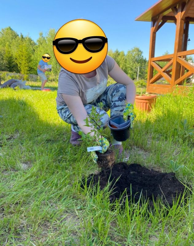 ��� ���������� � ������ �� �������: ����������� ������ ��� ��������