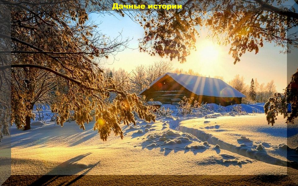 ����� ����� ��� �������: ������� ��������� �����������