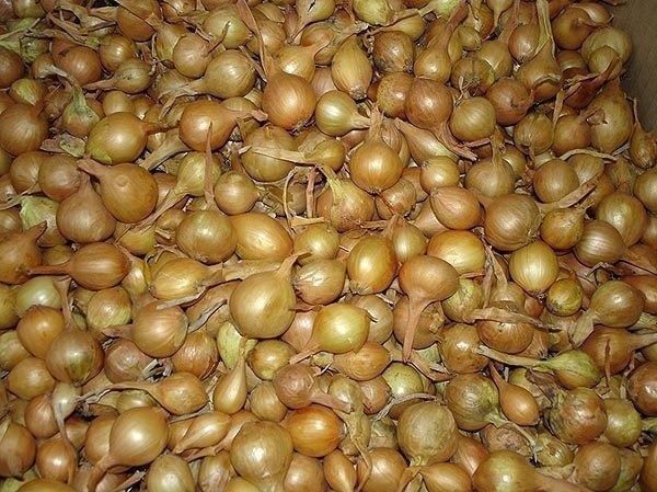 ��� �������� ������� �������: ������� �������� ������� � �����