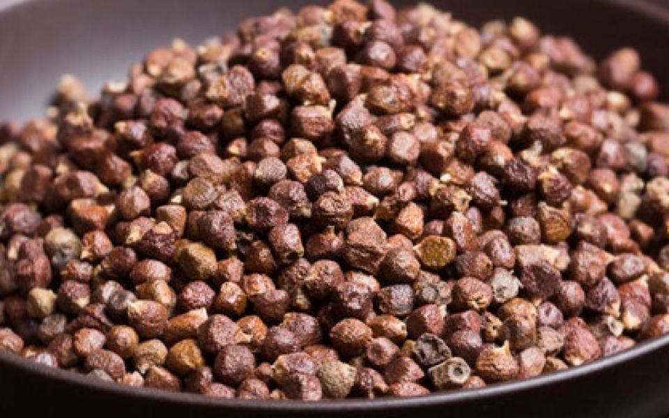 ����������� �����: ���������� ������ � ������� ��������� ����������