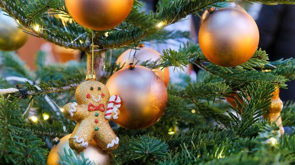 Как избежать штрафов за новогодний шум: важные советы россиянам