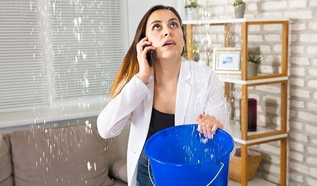 ��� �������� �������������� � ����������� �� ����������� ��������: �������, ������� �����������