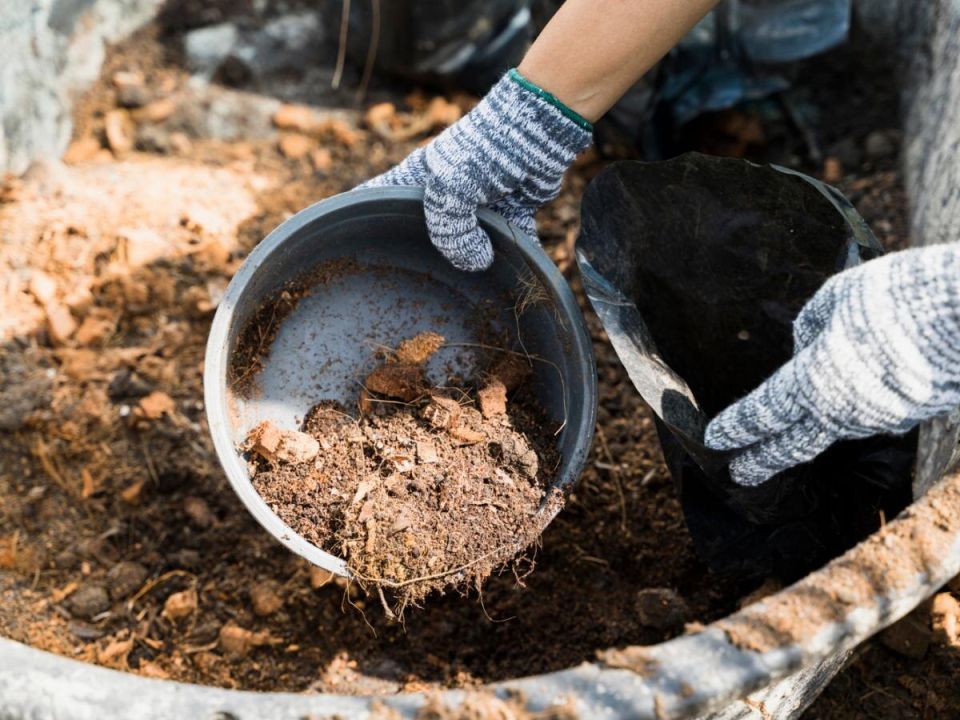 ��� �� �������� ������� �������: ������ ��� ���������� ����� � ����