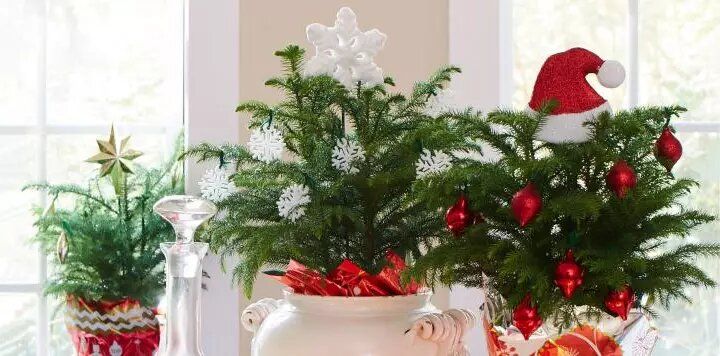 ��� ������� �������� ����� ����� ���������� ������ ��������� ���� � 2026 ����