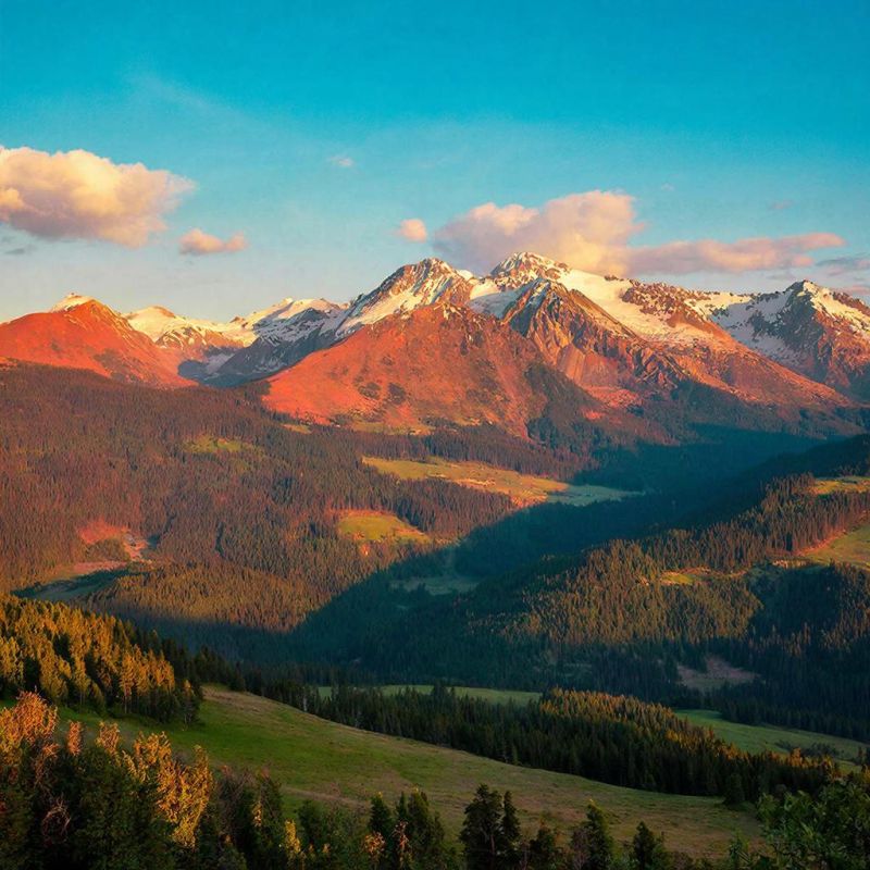 Новый закон о грузоперевозках: открытие рынка и упрощение доступа для перевозчиков