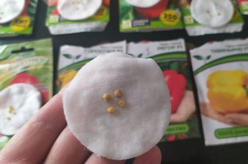 ����� ����� ����� ������ ������� ����� �� �������: ������ ��� �������?