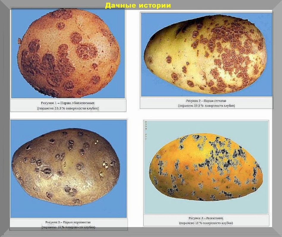 ������ ��� ���������� ���������: ������ �� ���������� �������