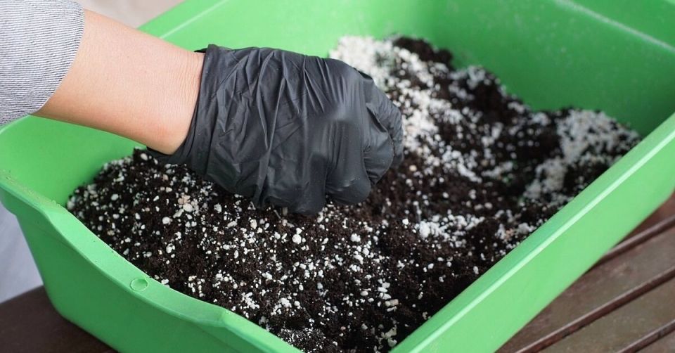 ��� ������� ��������� ���������� ��� ������� �������: ������ ���������