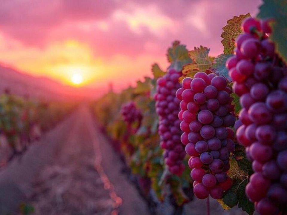 ������� ���������� ������������ ���������