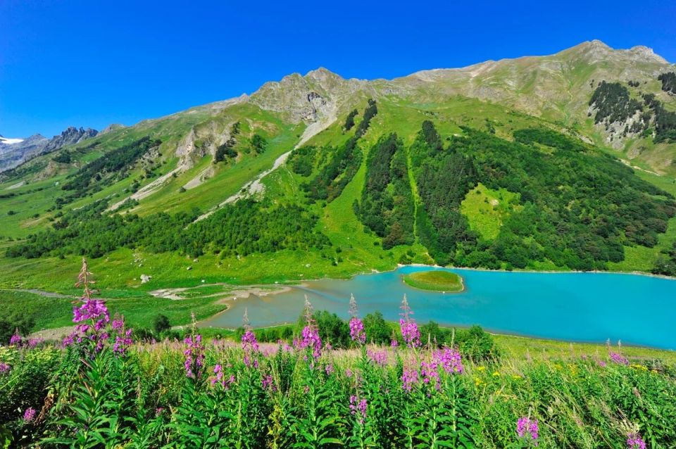 ���������� ����������: ������ ��������� � ���� �� ������ �������