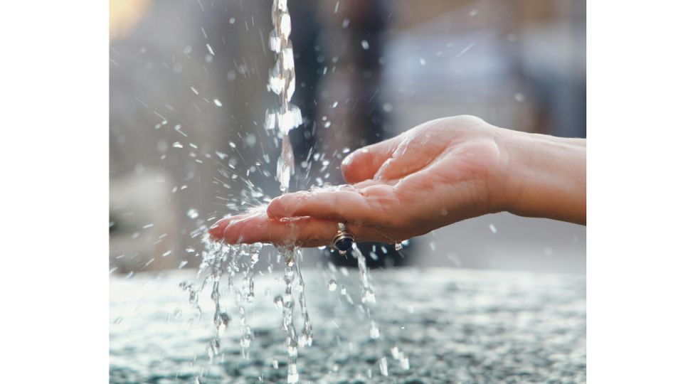 ���� �� ������ ��������: ����� ������ ����� ����� �������� ������