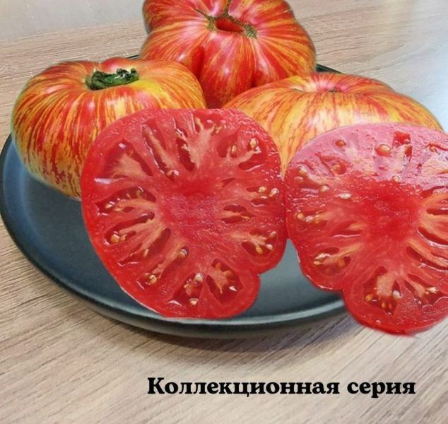 ����� �������� ����: ������� ������ ������ � ������� �����������