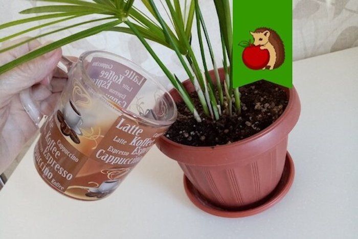 ��������������� ������: ��� �������� ����� ��������� ��������