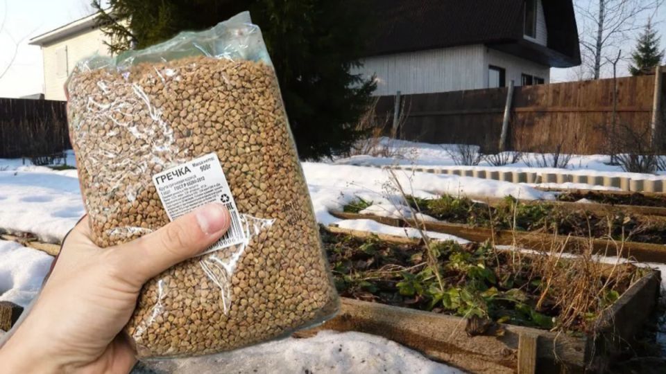 ��� ������� ����� ����� �������� ������ ������: ������� ��������� ������