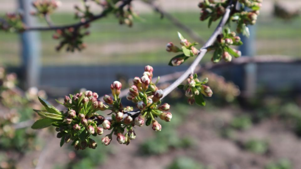 ��������� ��� ���� � �����: ��� ������� �� ������� �������� ����� ������������